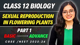 Sexual Reproduction in Flowering Plants  Class 12 Biology Chapter 1 One Shot Part 1  CBSE  NEET [upl. by Yekram727]