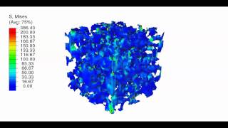 Fertig Research Group Compression of Porous Polymer [upl. by Smoot594]