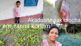 Akadosi te khet theke mocha r sak ene ranna korlam [upl. by Siesser]