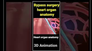 Bypass surgery heart organ anatomy l youtubeshorts neet mbbsmotivation viral [upl. by Icyak]