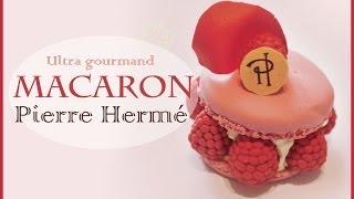 TUTO FIMO Macaron Ispahan Pierre Hermé  French Macaron Ispahan Polymer Clay Tutorial [upl. by Sanford]