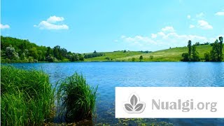 Nualgi Diatoms in Water Treatment  Nualgiorg [upl. by Ibson]