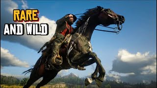 RDR2  Warped Brindle Arabian Location and Guide  Rare Wild Horse [upl. by Reave]