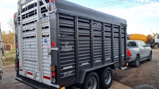 Trailer para vacas y caballos con puerta guillotina  Alzuarte Hydro Tracción SA® [upl. by Enitsirhc]