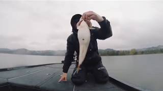 Bass Fishing at the southern Oregon coast [upl. by Incrocci3]