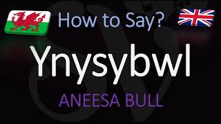 How to Pronounce Ynysybwl CORRECTLY Welsh Village Pronunciation [upl. by Whiting380]