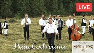 Puiu Codreanu  Live  Hanul Moara cu Noroc [upl. by Yaras]