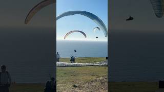 🪂🪂🪂 torrey pines gliderport san diego california paragliding shorts full video on channel [upl. by Learrsi]