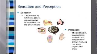 Perceptual Processes 1 sensation and perception basic concept [upl. by Yesnil]