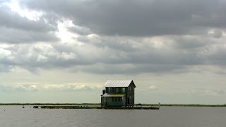 A View of Restoration from the Barataria Basin [upl. by Renard685]