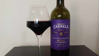 0530  Vinho Durigutti Carmela Reserva Malbec 2019 vinho vino wine [upl. by Lowenstern]