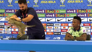 CRAZY moment a CAT interrupts Vinicius Jrs press conference Press officer YEETS it [upl. by Turk]