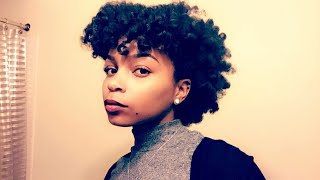 Two Strand Twist Tutorial On Transitioning Natural Hair [upl. by Hapte]