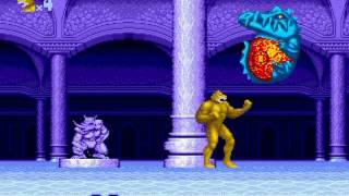 Altered Beast Sega Mega Drive 5  Stage 4  WereTiger [upl. by Aryad471]