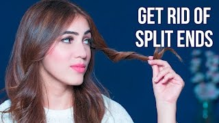 How To Get Rid Of Split Ends  At Home DIY [upl. by Nnyl]