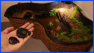 My New Indoor TURTLE POND Setup [upl. by Mahon893]