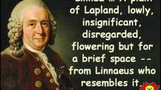 Creative Quotations from Carl Linnaeus for May 23 [upl. by Finley962]