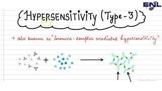 Type 3 Hypersensitivity Reaction  Microbiology [upl. by Naujal]