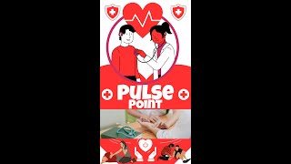 9 Pulse Point of Human Body [upl. by Hyps]