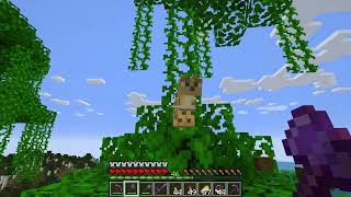 Ocelot in Tree what is it doing here is it lost  Minecraft 121 [upl. by Innep163]