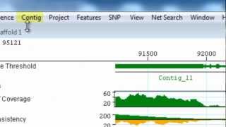 DNASTAR  Merging Contigs After an Assembly Using SeqMan Pro [upl. by Eidnam]