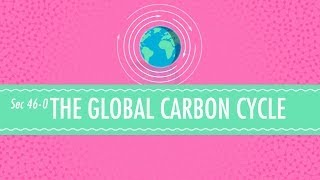 The Global Carbon Cycle Crash Course Chemistry 46 [upl. by Lorrin965]