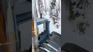 CAT Skiing skiing snow adventure mtb colorado mountains nature life lifestyle fun love [upl. by Nalon]