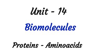 Proteins  Aminoacids  Biomolecules  TN 12th chemistry  Unit 14  in tamil [upl. by Amice]