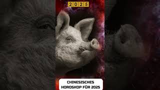 Schwein Chinese Horoscope 2025 [upl. by Vashtia]