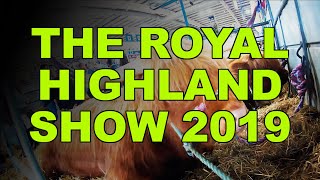 ROYAL HIGHLAND SHOW 2019  THE HOOF GP [upl. by Mackoff62]