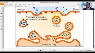 Cours sur les échanges cellulaires et les notions dendocytose et exocytose [upl. by Anirtal]