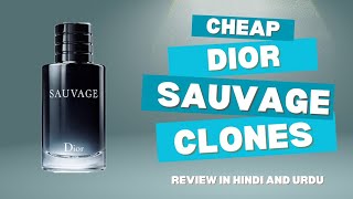 Best Cheap Dior Sauvage Clone review in Hindi urdu  are they worthed pakistani [upl. by Yxor]