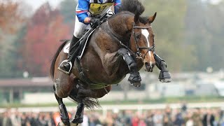 Race de France  Le Selle Français une race qui descend de chevaux autrefois appelés « demisang » [upl. by Andryc]