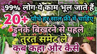 हर साल फ्री में फूलों के पौधे चाहिए तो बिखरने से पहले समेट ले20seeds collection by flowers plants [upl. by Lrad]