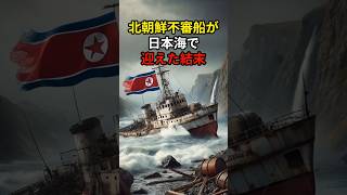 北朝鮮不審船が日本海で迎えた結末 海外の反応 外国の反応 外国人の反応 [upl. by Noffihc]