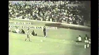 COMPLETO  Botafogo 3x1 Flamengo  1981  Pt9 Fim [upl. by Iras]