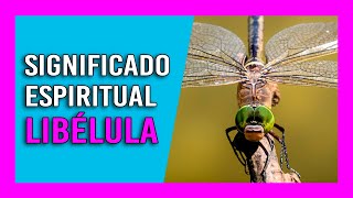 «【 Libélulas】» Significado Espiritual  Soñar con Libélulas 🧙 [upl. by Gareth]