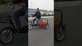 Walking the dog on a tricycle innovative device funfacts [upl. by Cinimod]