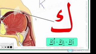 Makhraj No 517  Makhraj of Kaaf  Articulation Points of Arabic Alphabet Letters [upl. by Wershba]