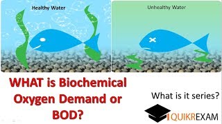 What is biochemical oxygen demand [upl. by Ecirtal]