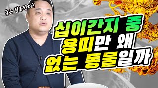 십이간지 중 왜 용띠만 없는 동물일까🐲 용은 실제로 존재한다 [upl. by Manvell464]