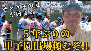 【高校野球】花咲徳栄野球部を全力で応援します [upl. by Bjorn]