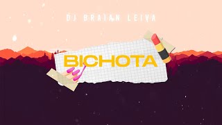 Bichota Remix  Karol G  DJ Braian Leiva [upl. by Ellek468]