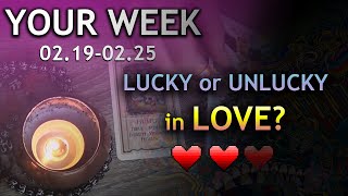 ASMR  Weekly Tarot amp Gipsy Card Guidance  02190225 [upl. by Aremahs]