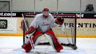 Goalrobber Drill of the Week 7 Glove and Blocker Saves [upl. by Anasxor]