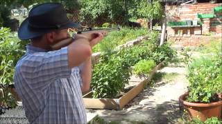 Luftgewehr Weihrauch HW57 Plinking clay pipe [upl. by Elad189]