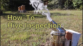 Beekeeping 101 Our Hive Inspections Steps for Beginners [upl. by Sanford]