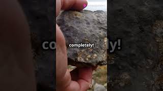 Unveiling Metamorphic Mysteries  Rock Transformations [upl. by Lianne]