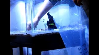 Adding Gravel and EcoComplete to Freshwater Aquarium [upl. by Namwob695]