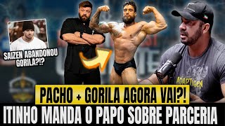 ITINHO MANDA O PAPO SOBRE NOVA PARCERIA PACHO E JULIO GORILA MR SAIZEN ABANDONOU [upl. by Lumbye]